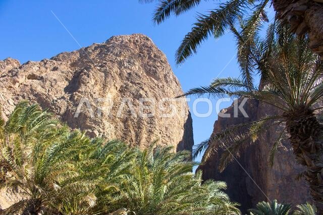 Wadi Tayyib Al Ism Magna, Saudi Arabia