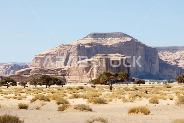 منظر طبيعي نموذجي لجبال متآكلة في واحة العلا الصحراوية في المملكة العربية السعودية