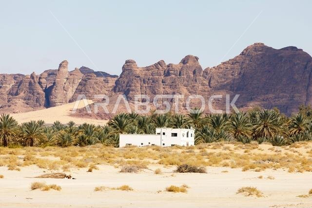 منظر طبيعي مع منزل أبيض بالقرب من العلا، المملكة العربية السعودية، مع أشجار النخيل