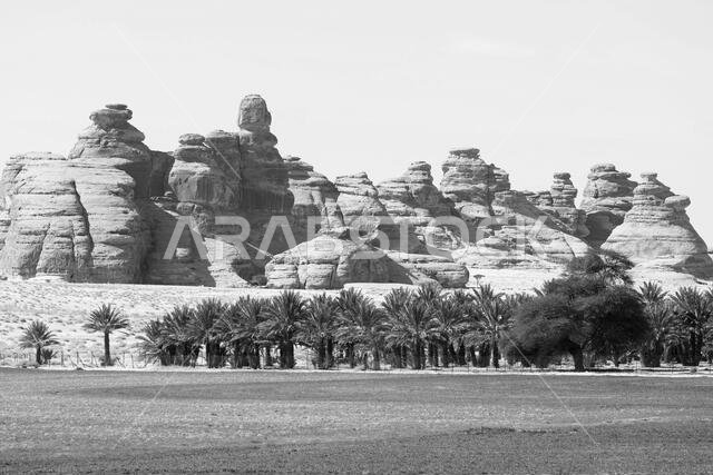 منظر طبيعي بالقرب من العلا، المملكة العربية السعودية، مع أشجار النخيل