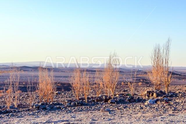 al wahba crater in taif, saudi arabia