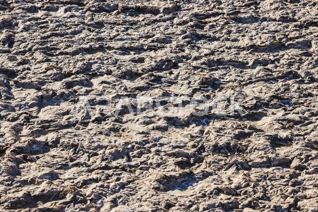 فوهة الوهبة في الطائف، المملكة العربية السعودية