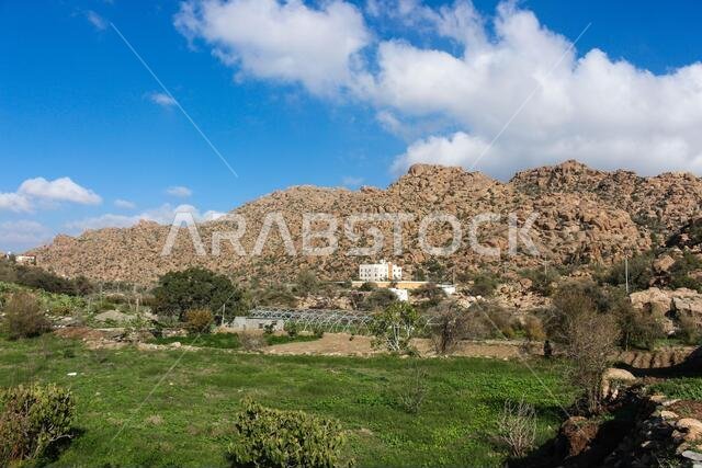 Al Hada Mountains landscapes near Taif, Western Saudi Arabia