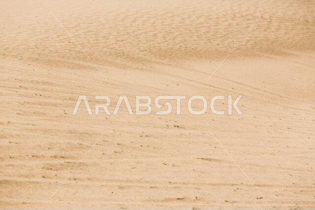 sand dunes in saudi arabia