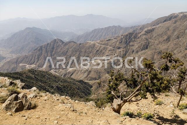 Steep, winding road to the high plateau of Abha in the southeast of Saudi Arabia