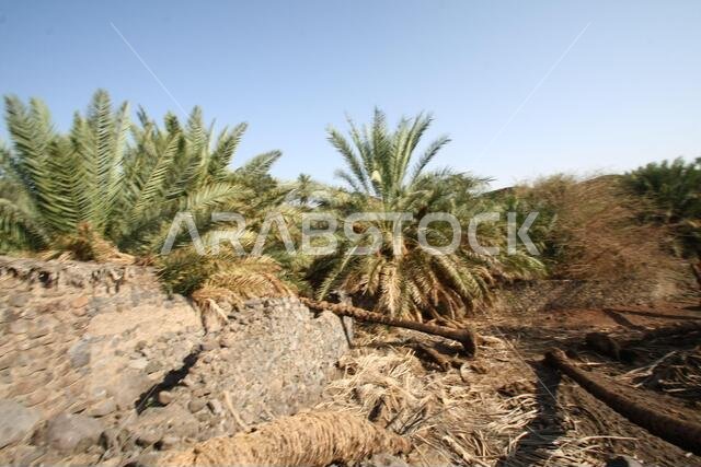 Khaybar to the north of Medina in the Hejaz. Before the advent of Islam in the 7th century CE, indigenous Arabs, as well as Jews, Khaybar to the north of Medina in the Hejaz. Before the advent of Islam in the 7th century CE, indigenous Arabs, as well as Jews,