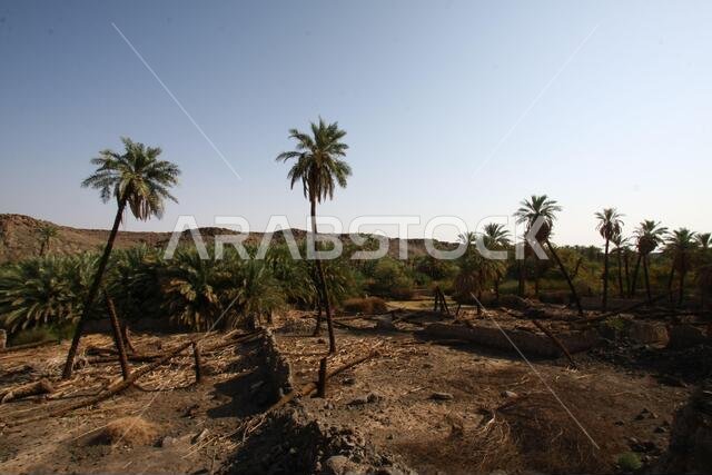 تقع خيبر شمال المدينة المنورة في الحجاز. قبل ظهور الإسلام في القرن السابع الميلادي، كان يسكنها العرب الأصليون، بالإضافة إلى اليهود. تقع خيبر شمال المدينة المنورة في الحجاز. قبل ظهور الإسلام في القرن السابع الميلادي، كان يسكنها العرب الأصليون، بالإضافة إلى اليهود.