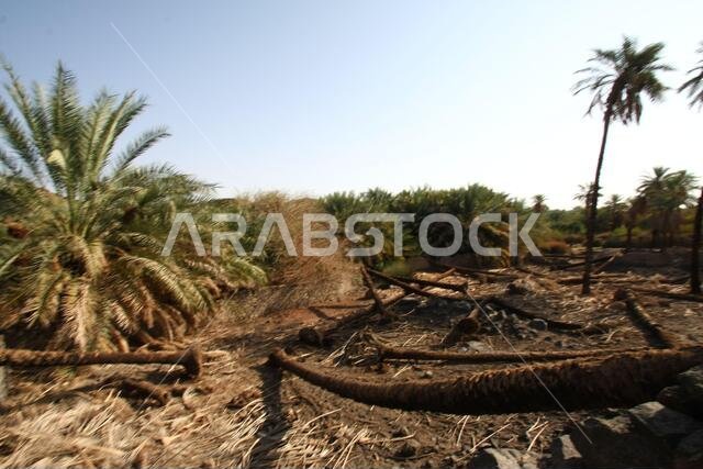 تقع خيبر شمال المدينة المنورة في الحجاز. قبل ظهور الإسلام في القرن السابع الميلادي، كان يسكنها العرب الأصليون، بالإضافة إلى اليهود. تقع خيبر شمال المدينة المنورة في الحجاز. قبل ظهور الإسلام في القرن السابع الميلادي، كان يسكنها العرب الأصليون، بالإضافة إلى اليهود.
