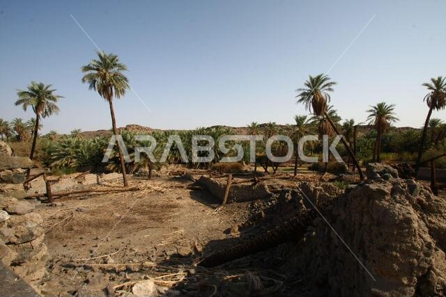 تقع خيبر شمال المدينة المنورة في الحجاز. قبل ظهور الإسلام في القرن السابع الميلادي، كان يسكنها العرب الأصليون، بالإضافة إلى اليهود.