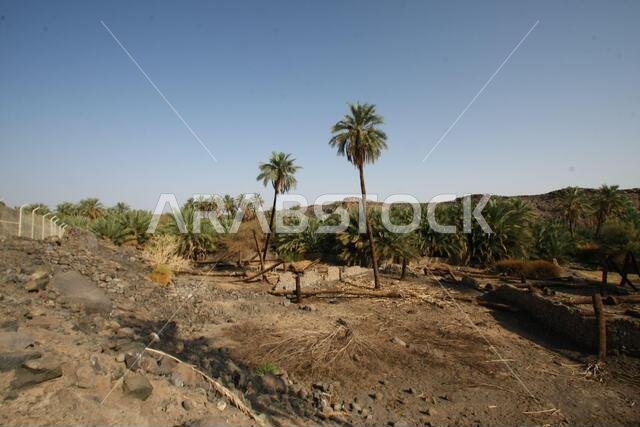 تقع خيبر شمال المدينة المنورة في الحجاز. قبل ظهور الإسلام في القرن السابع الميلادي، كان يسكنها العرب الأصليون، بالإضافة إلى اليهود. تقع خيبر شمال المدينة المنورة في الحجاز. قبل ظهور الإسلام في القرن السابع الميلادي، كان يسكنها العرب الأصليون، بالإضافة إلى اليهود.