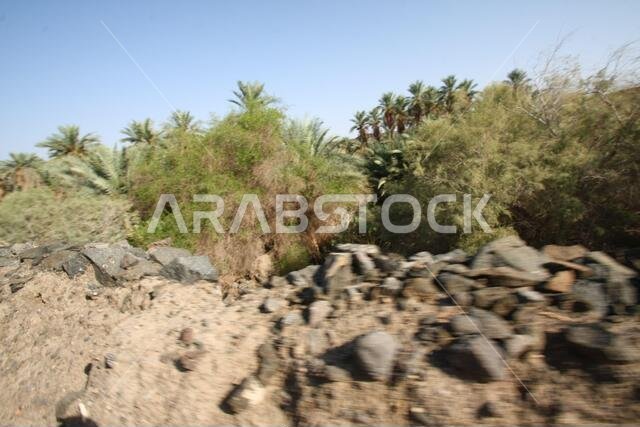 تقع خيبر شمال المدينة المنورة في الحجاز. قبل ظهور الإسلام في القرن السابع الميلادي، كان يسكنها العرب الأصليون، بالإضافة إلى اليهود.
