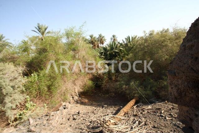 تقع خيبر شمال المدينة المنورة في الحجاز. قبل ظهور الإسلام في القرن السابع الميلادي، كان يسكنها العرب الأصليون، بالإضافة إلى اليهود. تقع خيبر شمال المدينة المنورة في الحجاز. قبل ظهور الإسلام في القرن السابع الميلادي، كان يسكنها العرب الأصليون، بالإضافة إلى اليهود.