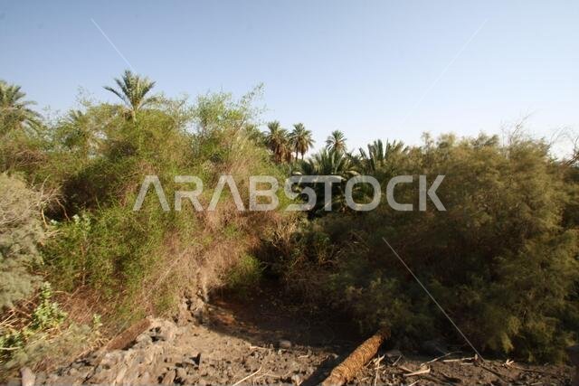 تقع خيبر شمال المدينة المنورة في الحجاز. قبل ظهور الإسلام في القرن السابع الميلادي، كان يسكنها العرب الأصليون، بالإضافة إلى اليهود.