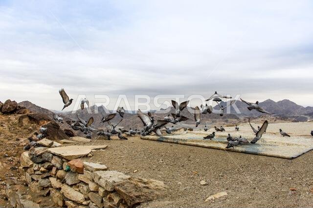 Jabal al-Thawr (Mount Thawr) makkah