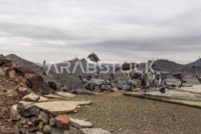 Jabal al-Thawr (Mount Thawr) makkah