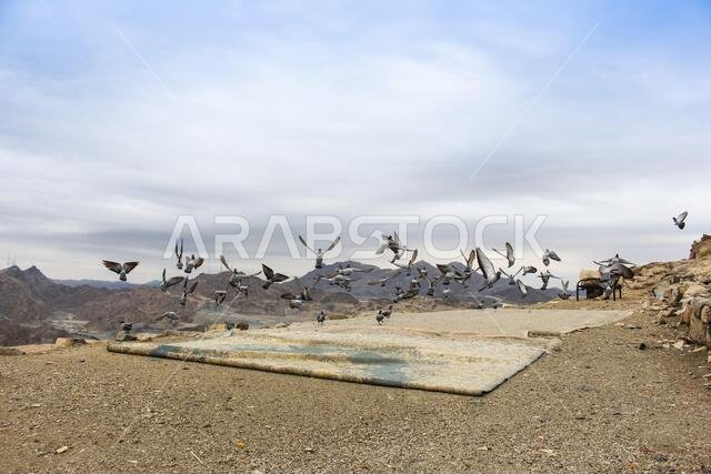 Jabal al-Thawr (Mount Thawr) makkah