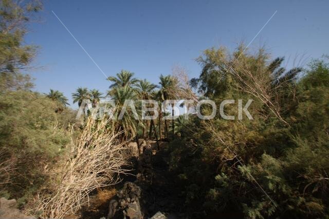 تقع خيبر شمال المدينة المنورة في الحجاز. قبل ظهور الإسلام في القرن السابع الميلادي، كان يسكنها العرب الأصليون، بالإضافة إلى اليهود.
