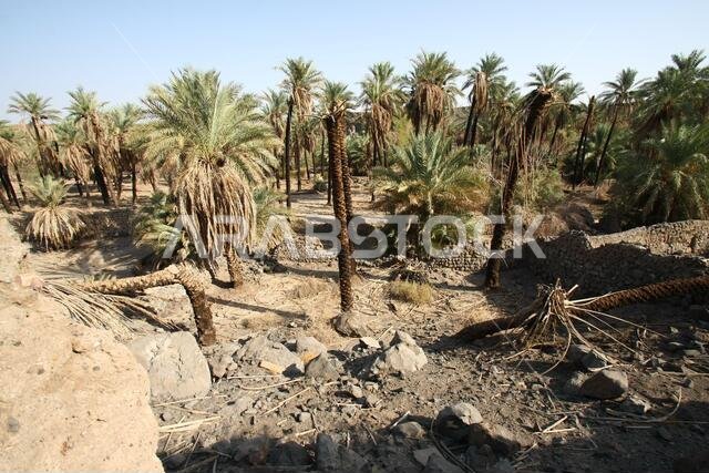 تقع خيبر شمال المدينة المنورة في الحجاز. قبل ظهور الإسلام في القرن السابع الميلادي، كان يسكنها العرب الأصليون، بالإضافة إلى اليهود.