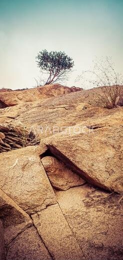 Jabal al-Thawr (Mount Thawr) makkah