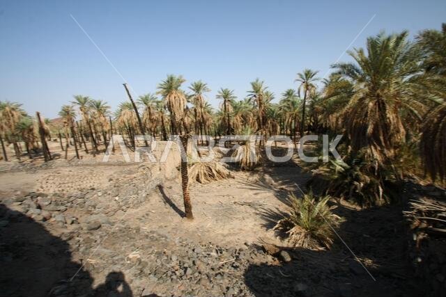 تقع خيبر شمال المدينة المنورة في الحجاز. قبل ظهور الإسلام في القرن السابع الميلادي، كان يسكنها العرب الأصليون، بالإضافة إلى اليهود.