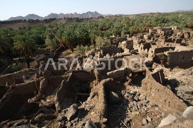 Khaybar to the north of Medina in the Hejaz. Before the advent of Islam in the 7th century CE, indigenous Arabs, as well as Jews,