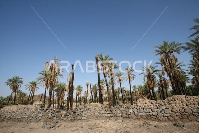 تقع خيبر شمال المدينة المنورة في الحجاز. قبل ظهور الإسلام في القرن السابع الميلادي، كان يسكنها العرب الأصليون، بالإضافة إلى اليهود.