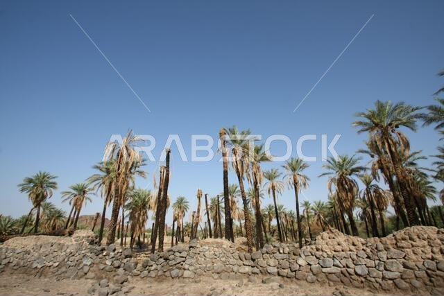 تقع خيبر شمال المدينة المنورة في الحجاز. قبل ظهور الإسلام في القرن السابع الميلادي، كان يسكنها العرب الأصليون، بالإضافة إلى اليهود.