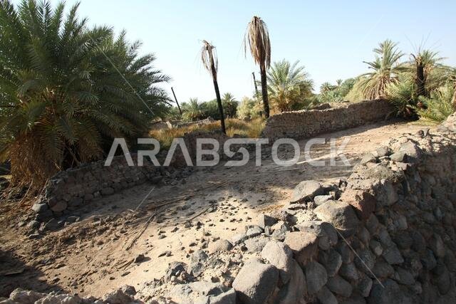 تقع خيبر شمال المدينة المنورة في الحجاز. قبل ظهور الإسلام في القرن السابع الميلادي، كان يسكنها العرب الأصليون، بالإضافة إلى اليهود.