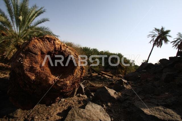 تقع خيبر شمال المدينة المنورة في الحجاز. قبل ظهور الإسلام في القرن السابع الميلادي، كان يسكنها العرب الأصليون، بالإضافة إلى اليهود.