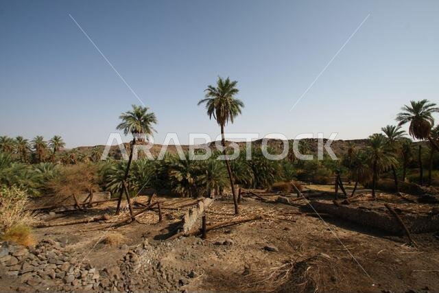 تقع خيبر شمال المدينة المنورة في الحجاز. قبل ظهور الإسلام في القرن السابع الميلادي، كان يسكنها العرب الأصليون، بالإضافة إلى اليهود.