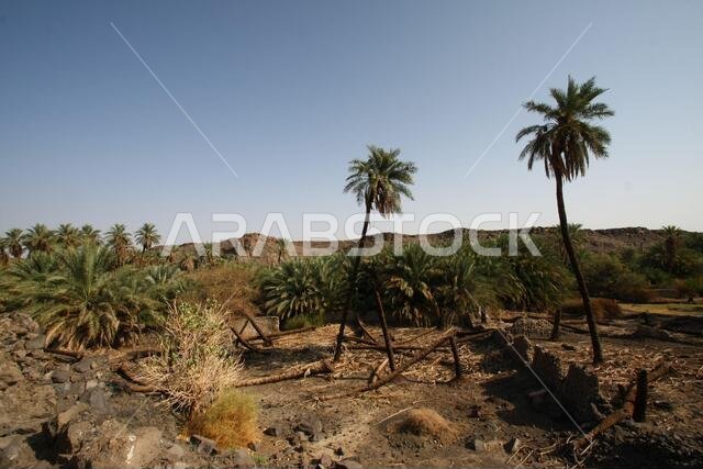 تقع خيبر شمال المدينة المنورة في الحجاز. قبل ظهور الإسلام في القرن السابع الميلادي، كان يسكنها العرب الأصليون، بالإضافة إلى اليهود.