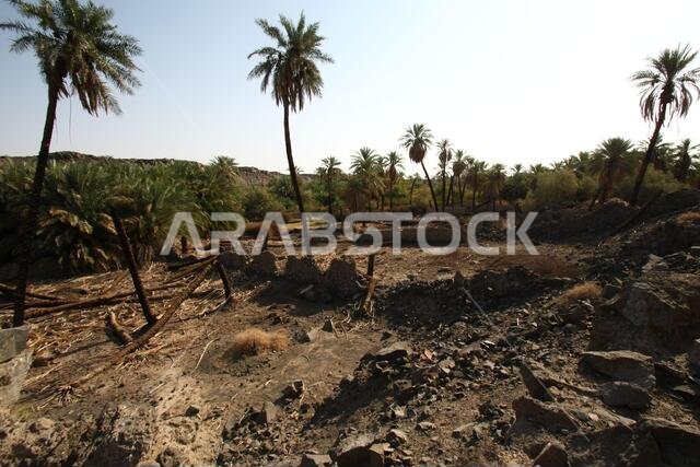 Khaybar to the north of Medina in the Hejaz. Before the advent of Islam in the 7th century CE, indigenous Arabs, as well as Jews,
