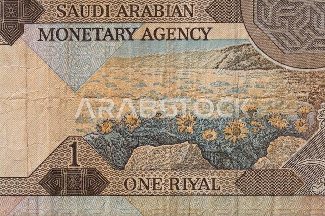 صورة مقرّبة لريال سعودي قديم من فئة الريال الواحد لأغراض التصميم