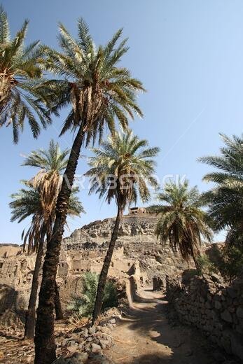 تقع خيبر شمال المدينة المنورة في الحجاز. قبل ظهور الإسلام في القرن السابع الميلادي، كان يسكنها العرب الأصليون، بالإضافة إلى اليهود.