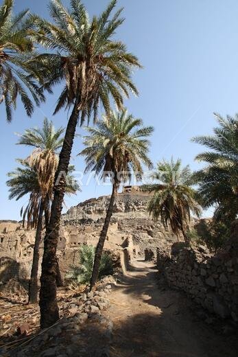 تقع خيبر شمال المدينة المنورة في الحجاز. قبل ظهور الإسلام في القرن السابع الميلادي، كان يسكنها العرب الأصليون، بالإضافة إلى اليهود.