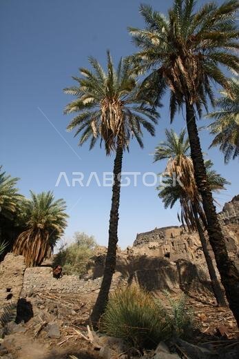 تقع خيبر شمال المدينة المنورة في الحجاز. قبل ظهور الإسلام في القرن السابع الميلادي، كان يسكنها العرب الأصليون، بالإضافة إلى اليهود.