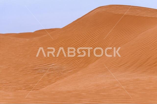 Bend of the ridge of a sand dune in the desert.