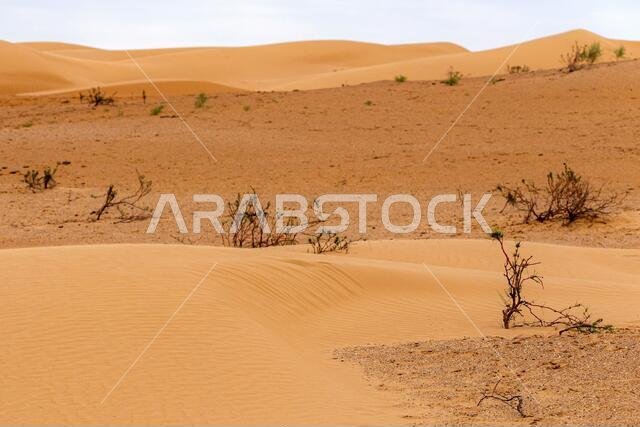 Bend of the ridge of a sand dune in the desert.