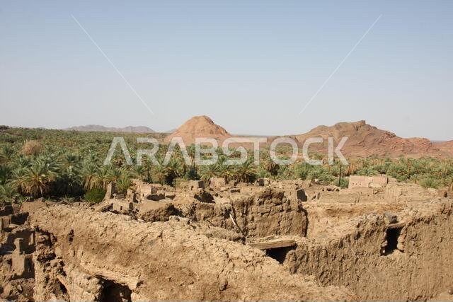 Khaybar to the north of Medina in the Hejaz. Before the advent of Islam in the 7th century CE, indigenous Arabs, as well as Jews,