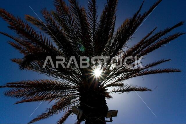 Historical city in yanbu saudi arabia