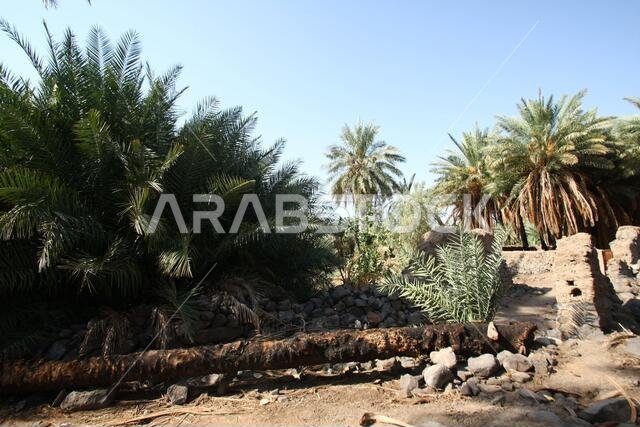 تقع خيبر شمال المدينة المنورة في الحجاز. قبل ظهور الإسلام في القرن السابع الميلادي، كان يسكنها العرب الأصليون، بالإضافة إلى اليهود.