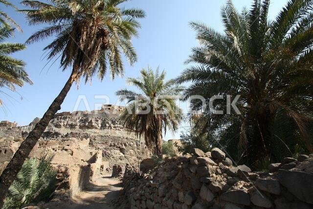 تقع خيبر شمال المدينة المنورة في الحجاز. قبل ظهور الإسلام في القرن السابع الميلادي، كان يسكنها العرب الأصليون، بالإضافة إلى اليهود.