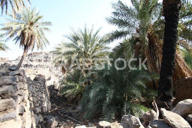 تقع خيبر شمال المدينة المنورة في الحجاز. قبل ظهور الإسلام في القرن السابع الميلادي، كان يسكنها العرب الأصليون، بالإضافة إلى اليهود.