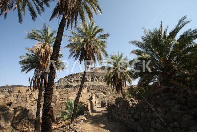 Khaybar to the north of Medina in the Hejaz. Before the advent of Islam in the 7th century CE, indigenous Arabs, as well as Jews,