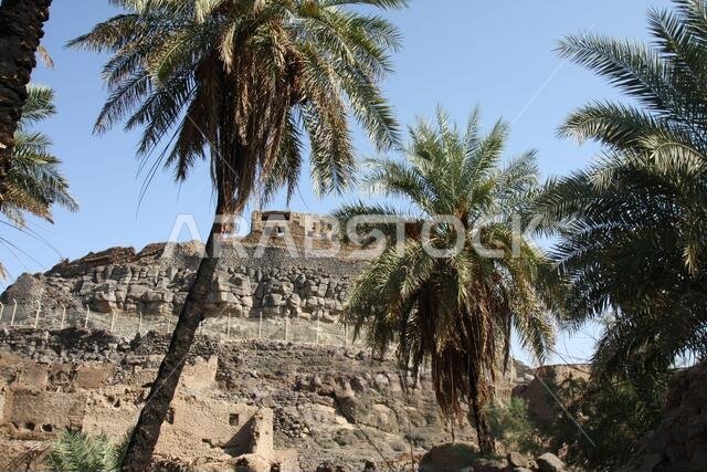 تقع خيبر شمال المدينة المنورة في الحجاز. قبل ظهور الإسلام في القرن السابع الميلادي، كان يسكنها العرب الأصليون، بالإضافة إلى اليهود.