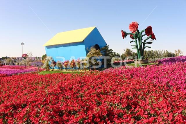 yanbu flower festival