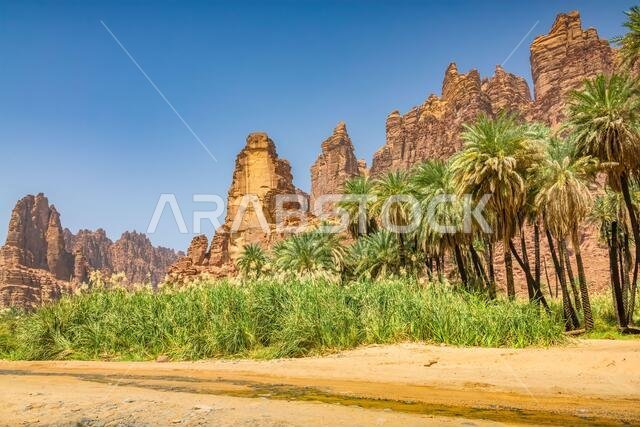 Wadi Al Disah oasis in Tabuk Province, Saudi Arabia