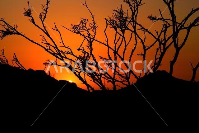 sunset  with jeddah landscapes