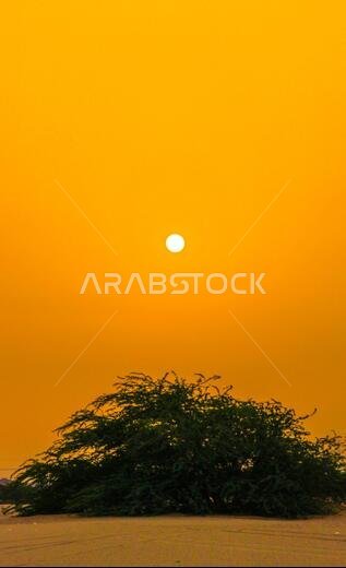 غروب الشمس مع مناظر جدة الطبيعية