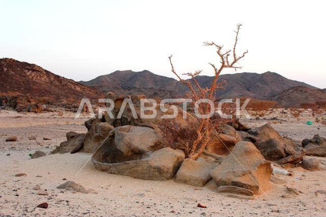 al hada mountain taif